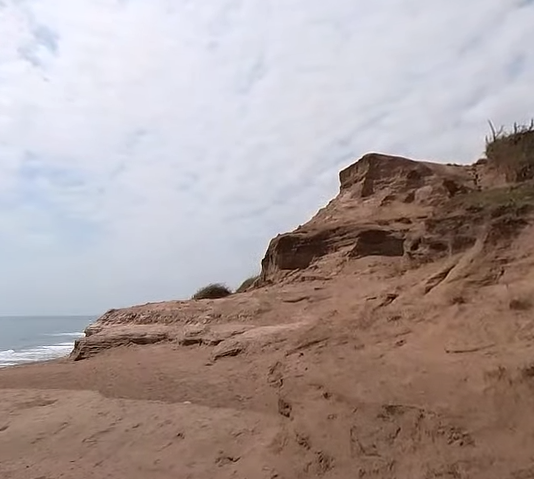 スクリーンショット 2021-04-09 15.58.57