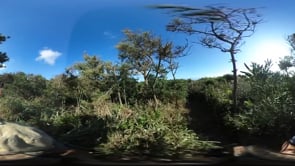 hilltop 疑似ロケハン動画