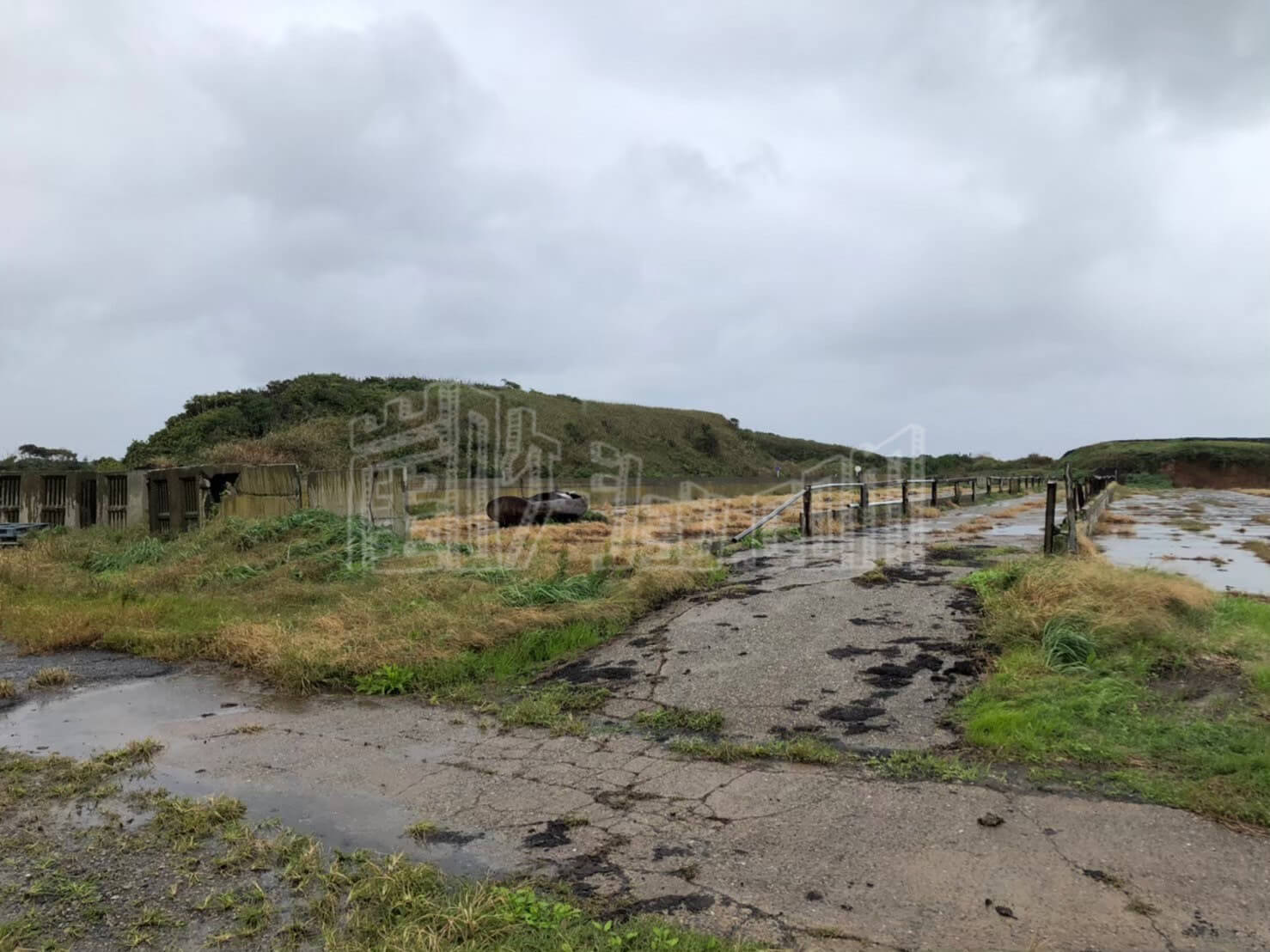 LINE_ALBUM_カウハウス_240528_18