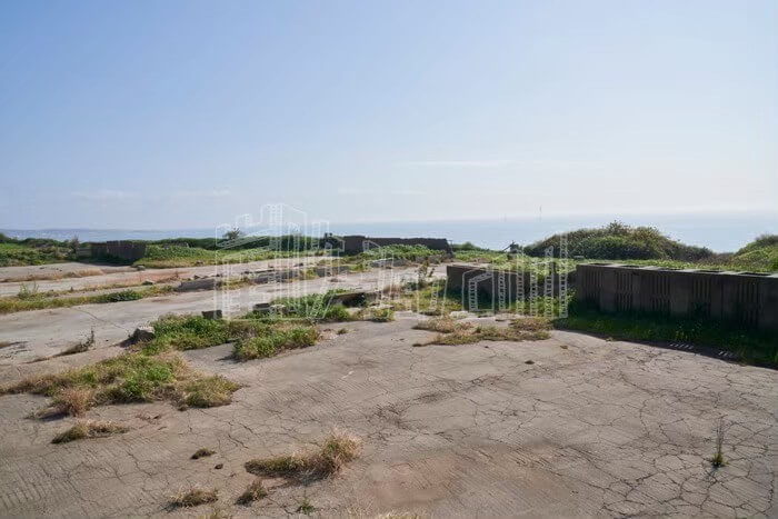 LINE_ALBUM_カウハウス_240528_15