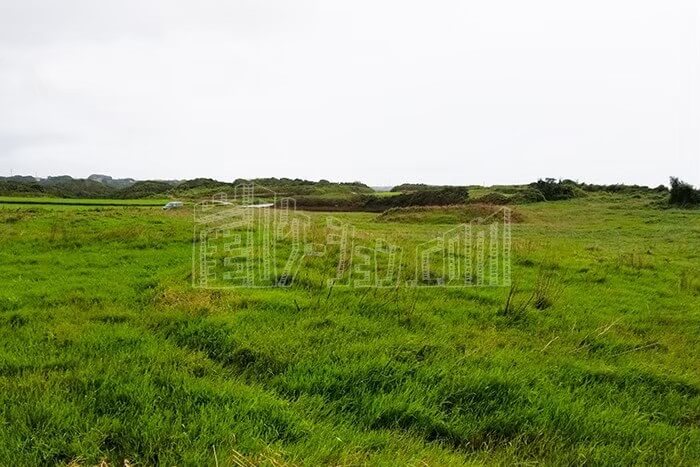 LINE_ALBUM_カウハウス_240528_1