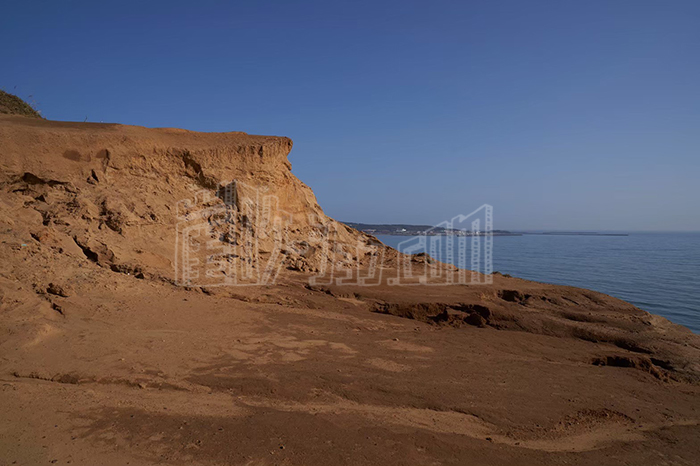 LINE_ALBUM_バレー_240528_8