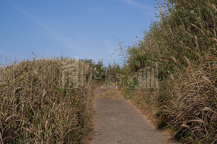 LINE_ALBUM_岬下_240528_8