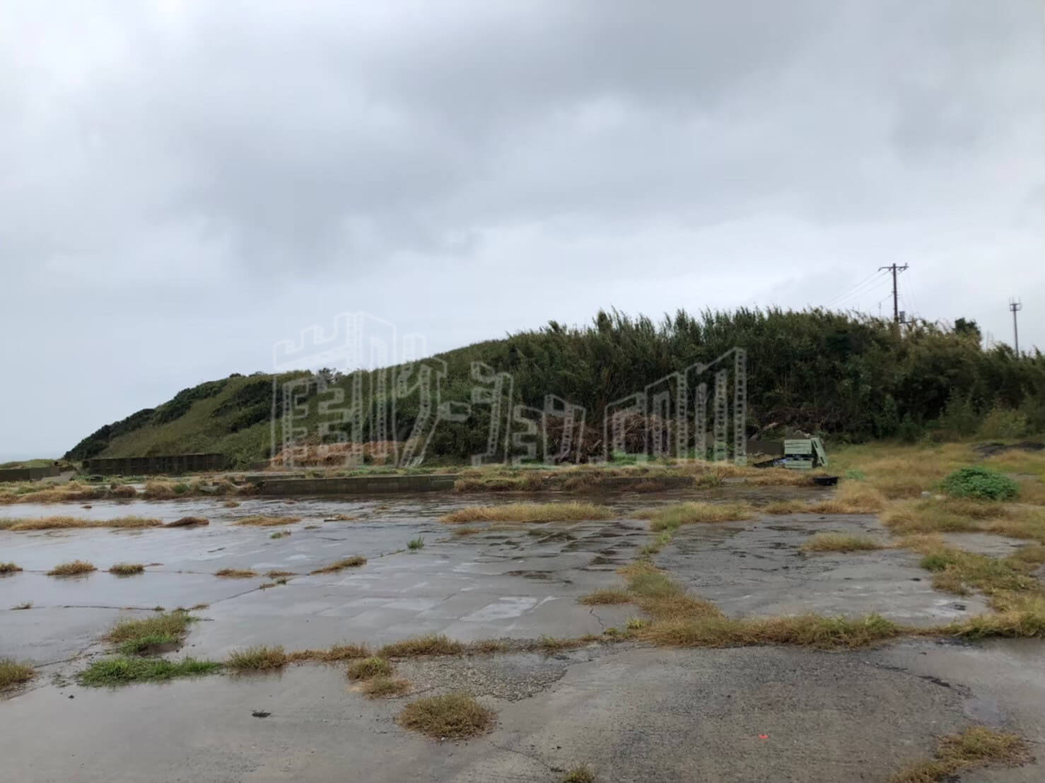 LINE_ALBUM_カウハウス_240528_17