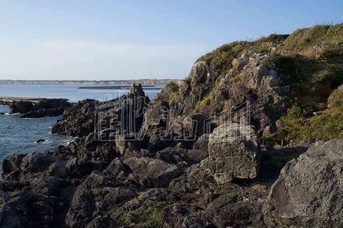 LINE_ALBUM_グラスランド_240528_2