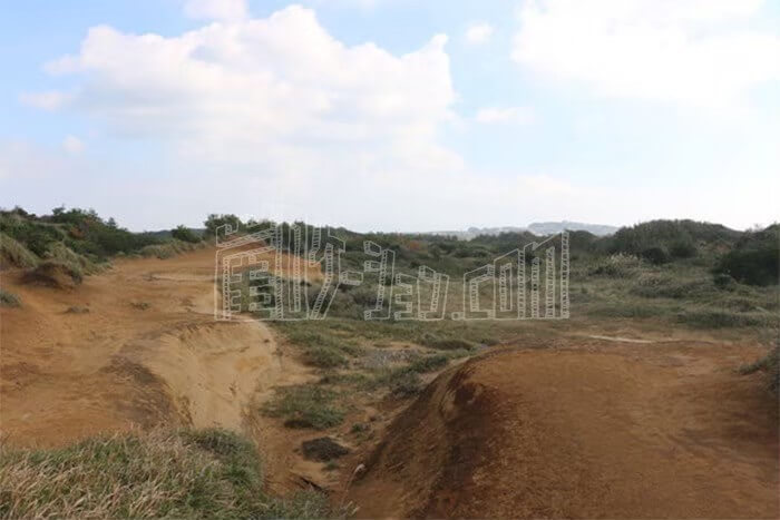 LINE_ALBUM_ウェストランド_240528_2