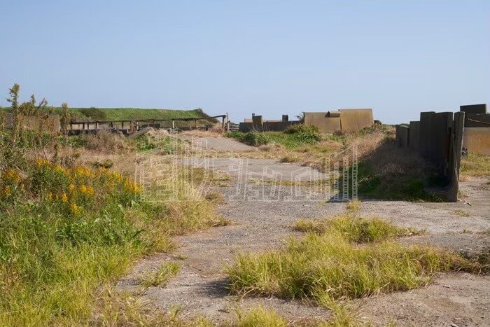 LINE_ALBUM_カウハウス_240528_3