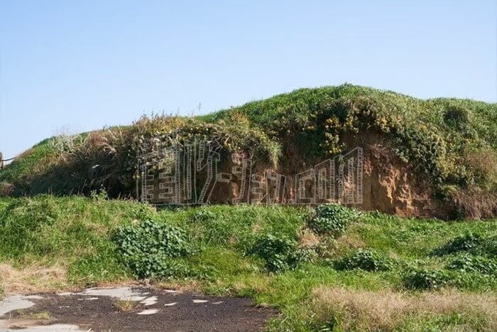 LINE_ALBUM_カウハウス_240528_7