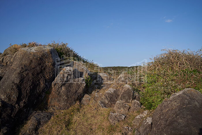 LINE_ALBUM_グラスランド_240528_12