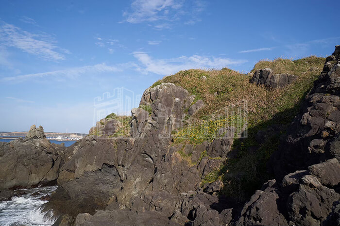 LINE_ALBUM_グラスランド_240528_8