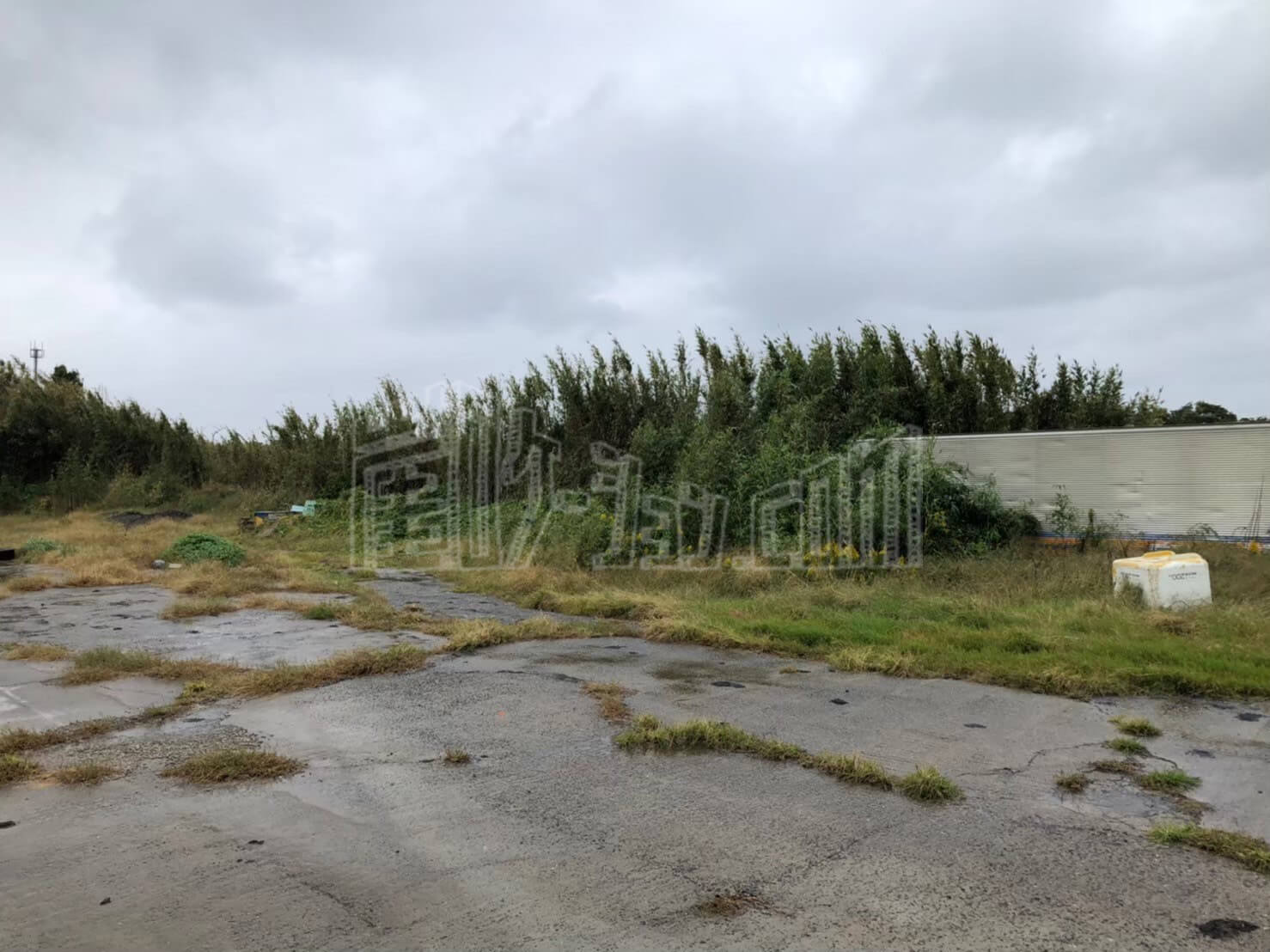 LINE_ALBUM_カウハウス_240528_16