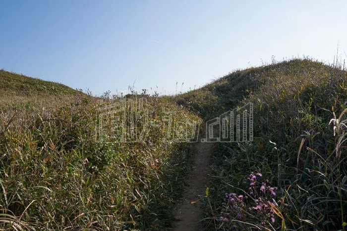 LINE_ALBUM_バレー_240528_2