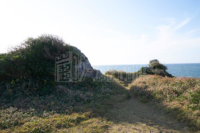 LINE_ALBUM_グラスランド_240528_10