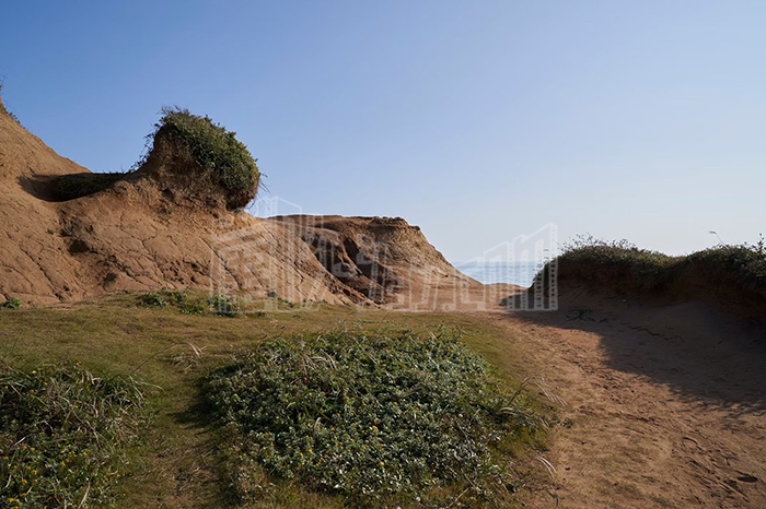 LINE_ALBUM_スロープ_240528_4